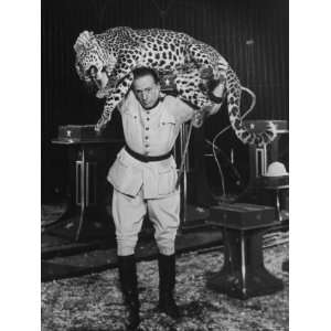 Ringling Bros. Animal Trainer Holding Snarling Leopard over His Head 