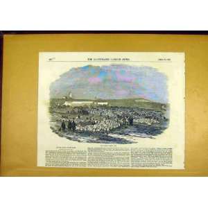  Lewes Sheep Fair Victorian Print 1850 Animal Farm