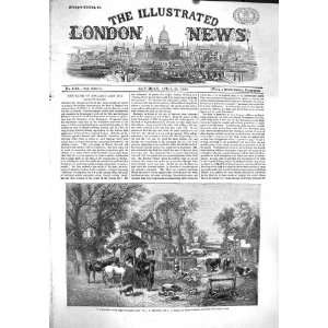  1860 ENGLISH FARMYARD ANIMALS PIGS HORSES CATTLE RIVER 