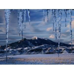 com Icicles Hanging in Front of Mountain, Bridger Mountains, Gallatin 