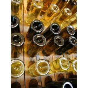  Wine Bottles, Mendoza, Argentina, South America Stretched 