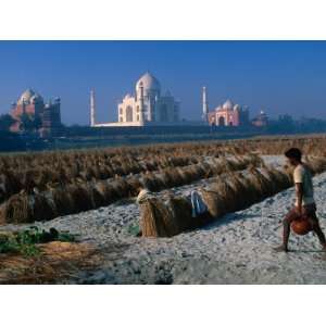 Melon Farm on Yamunas Banks with Taj Mahal in Background, Agra, Uttar 