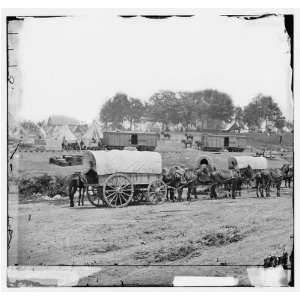   George B. McClellan on the Richmond & York River Railroad Home