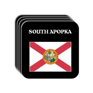  US State Flag   SOUTH APOPKA, Florida (FL) Set of 4 Mini 
