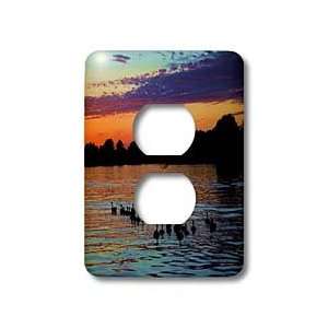 Edmond Hogge Jr Nature   Chain of Lakes   Light Switch Covers   2 plug 