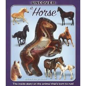   Horse   [UNCOVER A HORSE] [Hardcover] David(Author) Gordon Books