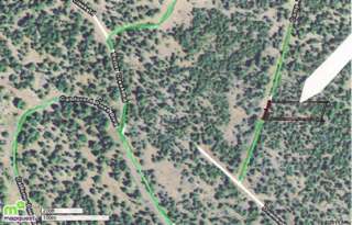 NO CAL  TOWERING PINES     ACREAGE WITH POWER NEARBY  