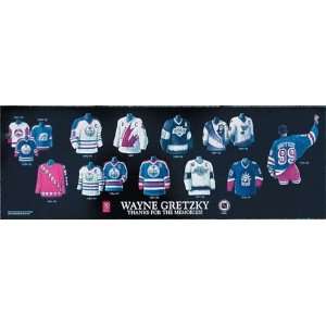  Wayne Gretzky 10X30 Plaque   Heritage Jersey Print Sports 