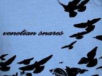 VENETIAN SNARES indie Birds Detrimentalist SHIRT YM  