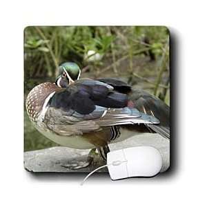  Florene Birds   Arent I Pretty   Mouse Pads Electronics