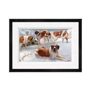  Saint Bernard Dogs Framed Giclee Print