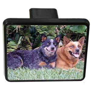  Australian Cattle Dog Trailer Hitch Cover Sports 