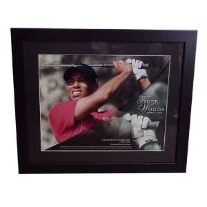 Tiger Woods Tournament used piece of glove framed with Tiger Woods 