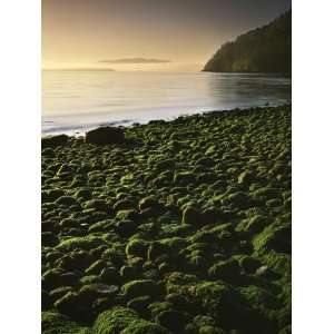  Stone beach at low tide, Orcas Island, Washington, USA 