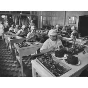  Workers in Astrakhan Factory Canning and Weighing Caviar 