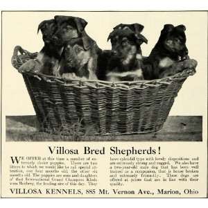 1930 Ad Villosa Kennels German Shepherd Dog Puppies Breeders Pets 