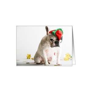 French Bulldog Humor, Christmas Card Card