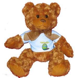  Audiologists Rock My World Plush Teddy Bear with BLUE T 