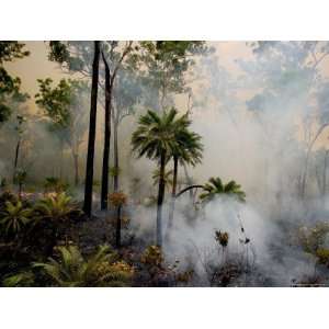 Controlled Burn in an Australian Forest to Help with Flood Control 