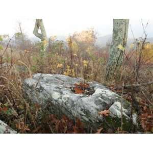 Native Granite Boulder on Hillside in Autumn Hued Meadow Photographic 