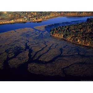  Aerial Wild Rice Marshes, Wetlands, and Autumn Hued Forest 