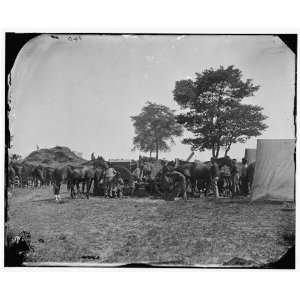  Civil War Reprint Antietam, Md. Blacksmith shoeing horses 