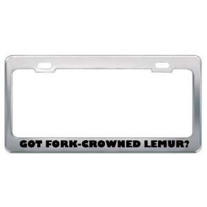 Got Fork Crowned Lemur? Animals Pets Metal License Plate Frame Holder 