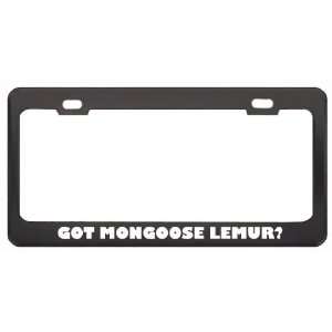  Got Mongoose Lemur? Animals Pets Black Metal License Plate 