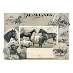  Diploma awarded by 20X30 Canvas Giclee