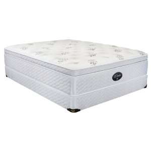   Air 995533M Exonerate Four Seasons Mattress  Twin