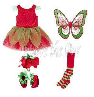 NWT Gymboree Halloween Berry Butterfly Costume U Pick  