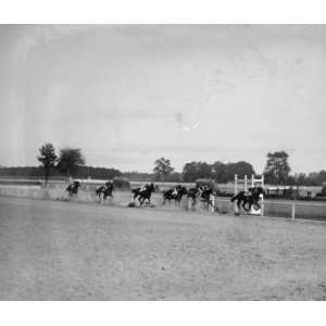  1920 photo Balto. Tour, Laurel, teach horse race