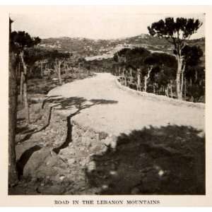  1920 Print Road Lebanon Mountains Landscape Trees 