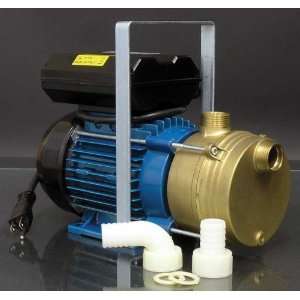  #25 Pump (110V)   Bronze 