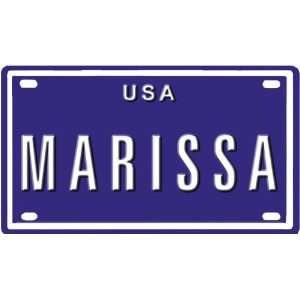  USA MINI METAL EMBOSSED LICENSE PLATE NAME FOR BIKES, TRICYCLES 