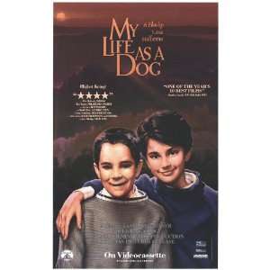 My Life as a Dog Movie Poster (27 x 40 Inches   69cm x 102cm) (1985)  