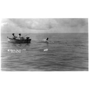   to gaff,big game fishing,boat,Florida,FL,Koons,c1926