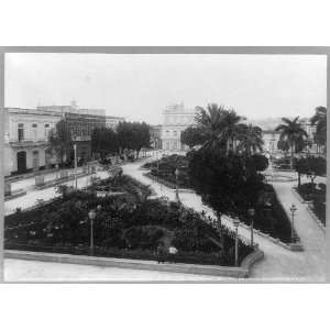   ,town centers,buildings,trees,Matanzas,Cuba,c1904