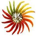  by hotchillishop we are an australian owned and operated company 