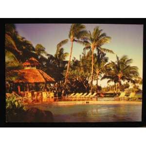   Orchid at Mauna Lani Hotel/Pool, Hawaii 5x7 PC not applicable Books