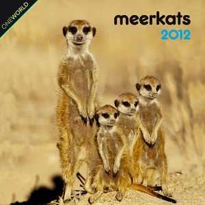  Meerkats 2012 Mini Wall Calendar