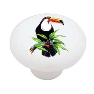  Toucan Bird Decorative High Gloss Ceramic Drawer Knob 