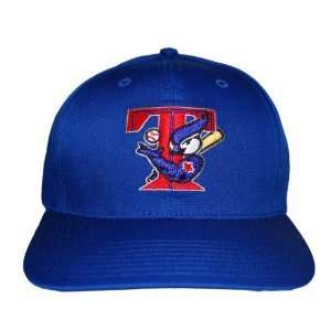  MLB Toronto Blue Jays Logo Snapback Hat Cap   Blue Sports 