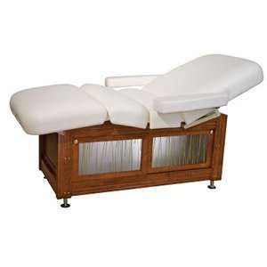  Clinician Premiere  Electric Salon Top, Table only Health 
