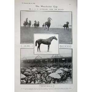  1907 Manchester Cup Horse Racing Rothschild Beppo