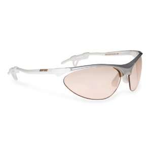  Bertoni Sunglasses Photochromic Line (F996B) Sports 