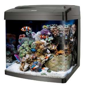  Coralife Biocube, Size 29