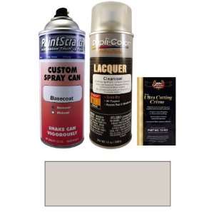  12.5 Oz. Sterling Silver (matt) Spray Can Paint Kit for 