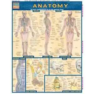  Anatomy, Laminated Giude, sold by 100 Health & Personal 