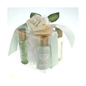  Aromatherapy Gorgeous Gift Set in Tea & Oranges Body Lotion, Shower 